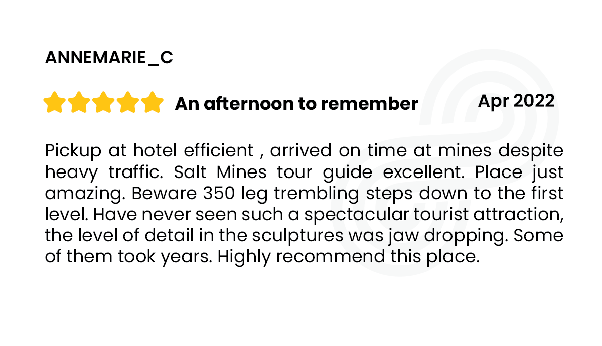 Salt Mine review